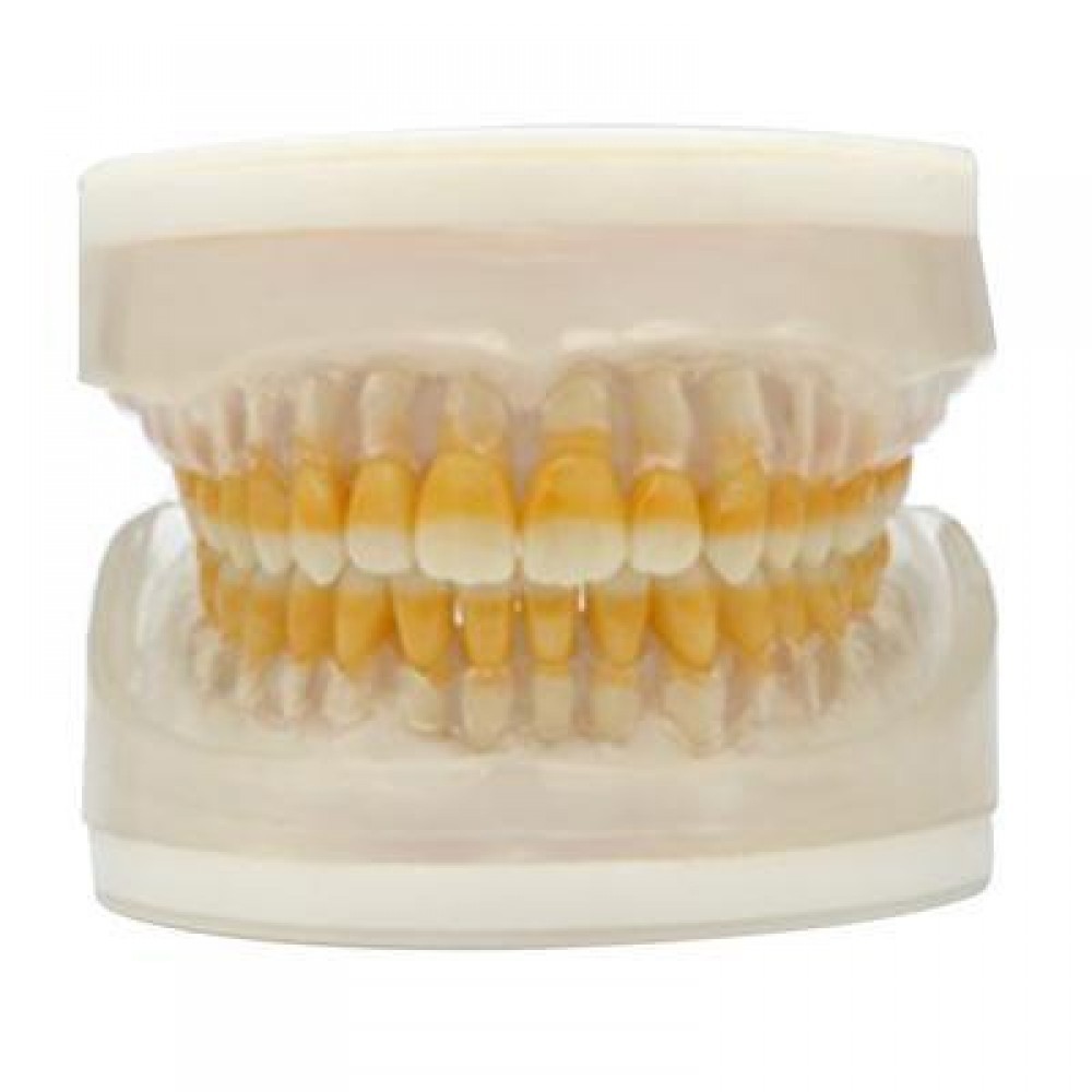 Refil Cirurgia C/ Dentes de Perio AC025 - Pronew