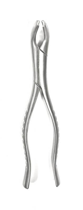 Forceps 17 Adulto - 6B Invent