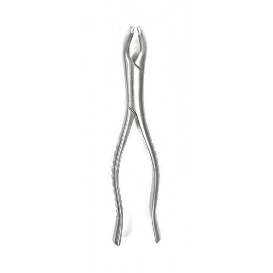 Forceps 17 Adulto - 6B Invent